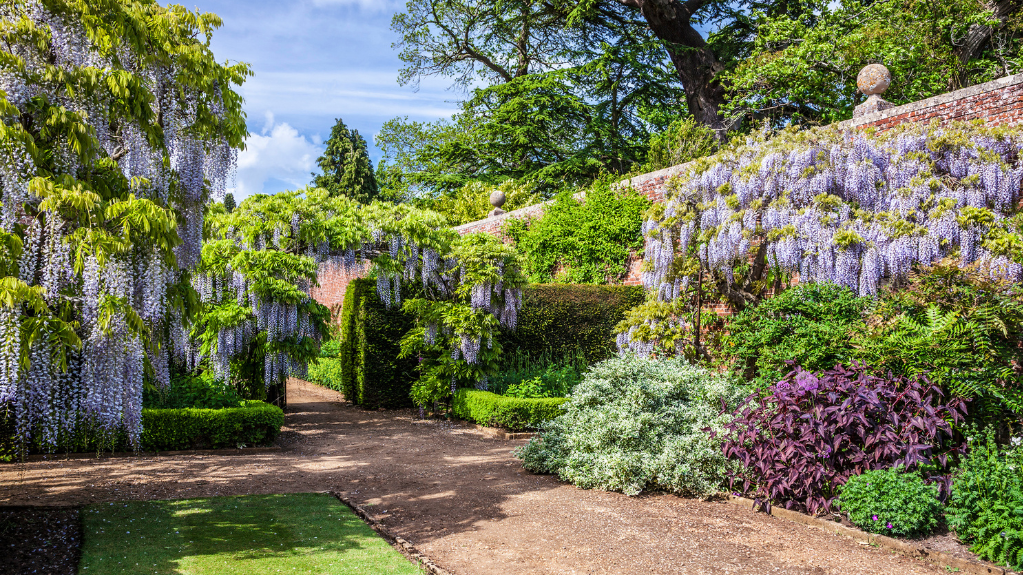 Bowood Walled Gardens